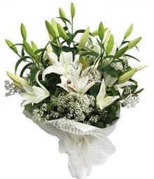 White Lilies